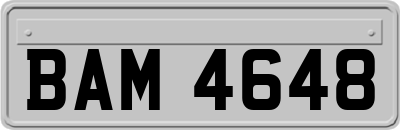 BAM4648
