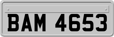 BAM4653