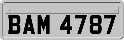 BAM4787