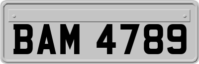 BAM4789