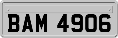 BAM4906