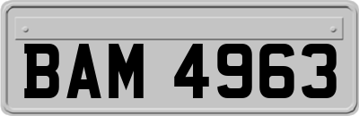 BAM4963