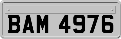 BAM4976