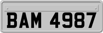 BAM4987