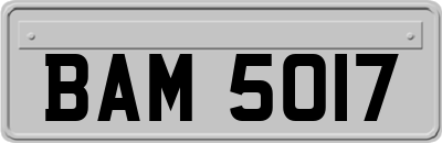 BAM5017