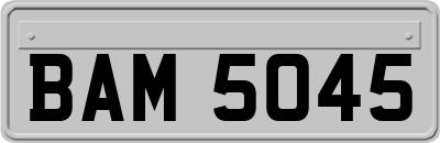 BAM5045
