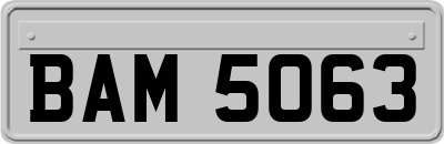 BAM5063