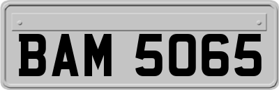 BAM5065