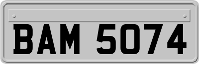 BAM5074