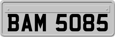 BAM5085