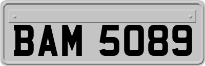 BAM5089