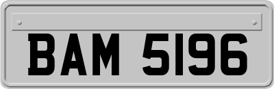 BAM5196