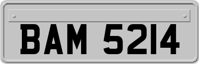 BAM5214