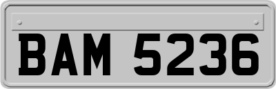 BAM5236