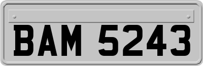 BAM5243