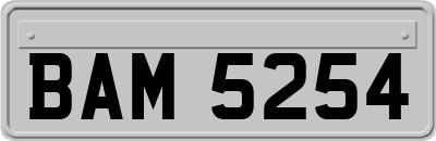 BAM5254