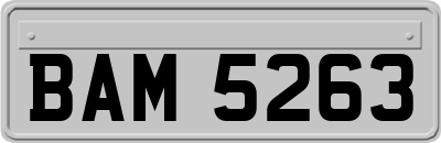BAM5263