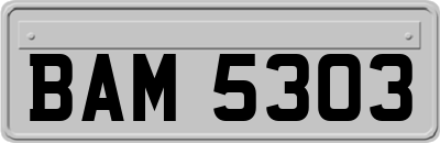 BAM5303
