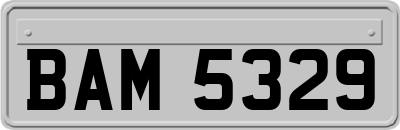 BAM5329