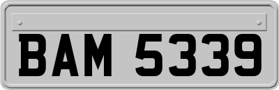 BAM5339