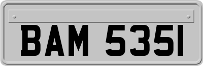 BAM5351