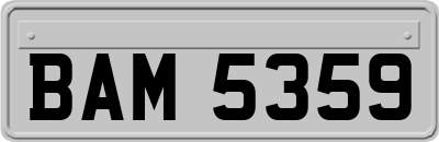 BAM5359