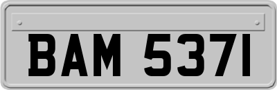 BAM5371