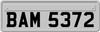 BAM5372