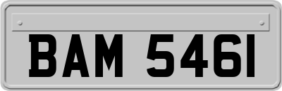 BAM5461