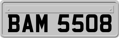 BAM5508