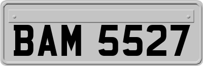 BAM5527