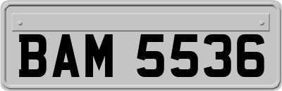 BAM5536