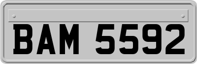 BAM5592
