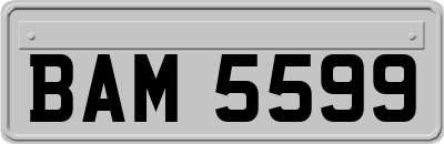 BAM5599