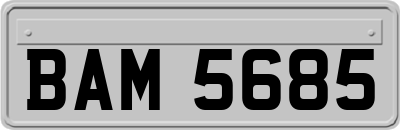 BAM5685