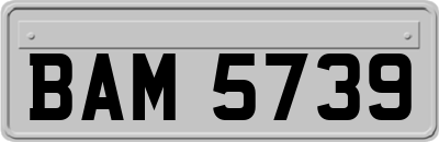 BAM5739