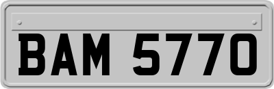 BAM5770