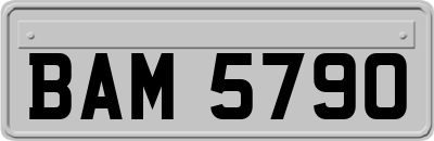 BAM5790