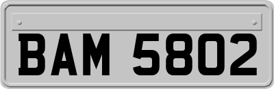 BAM5802
