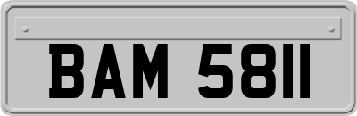 BAM5811