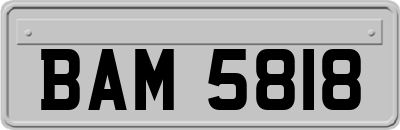 BAM5818