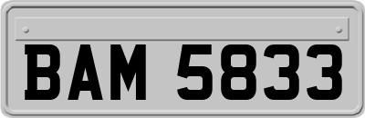 BAM5833