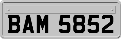 BAM5852