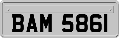 BAM5861