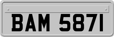 BAM5871