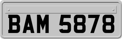 BAM5878
