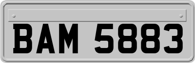 BAM5883