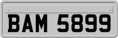 BAM5899