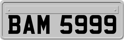 BAM5999