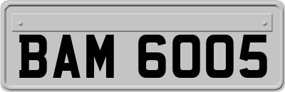 BAM6005
